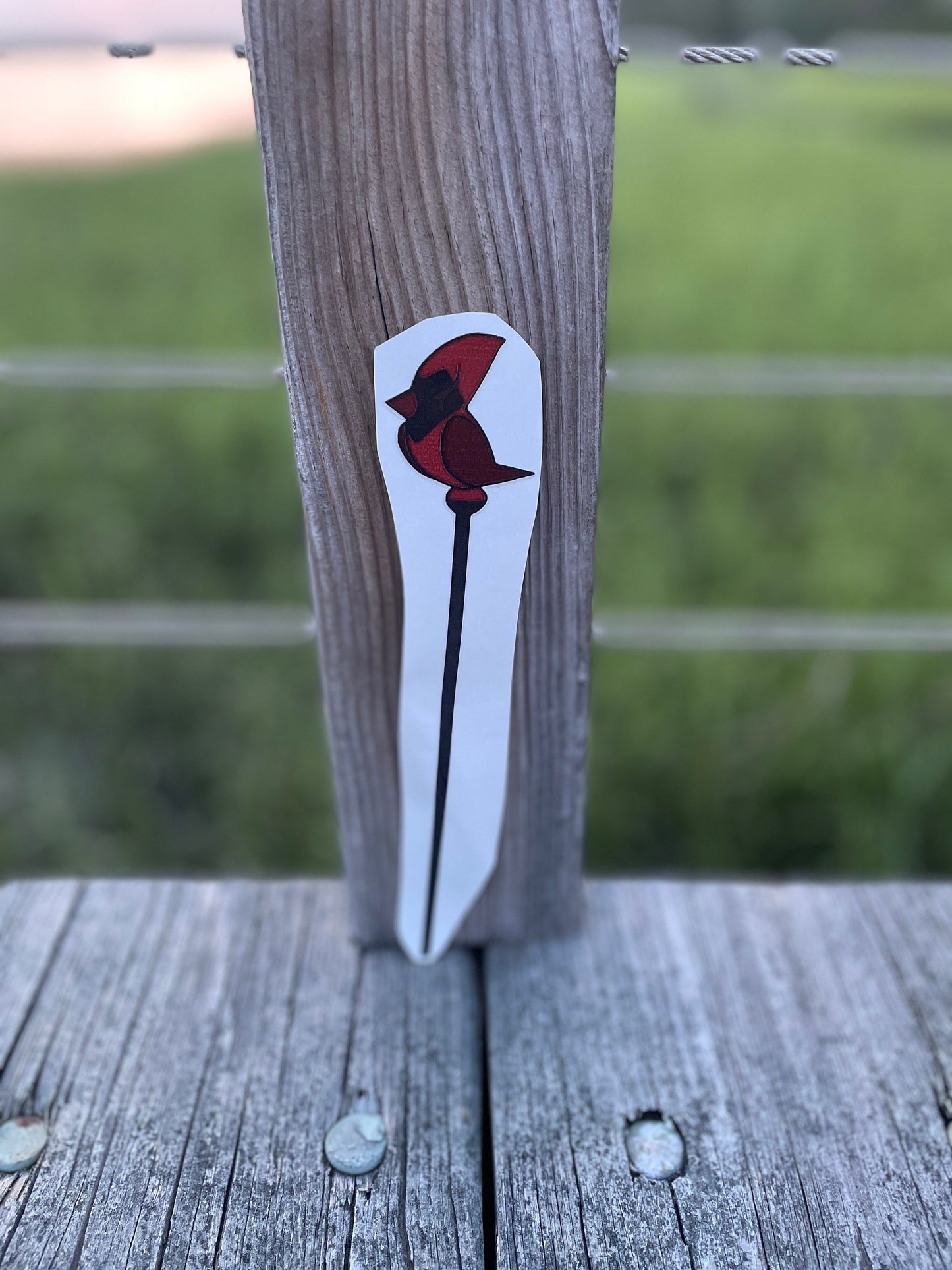 Staves Of The Owl