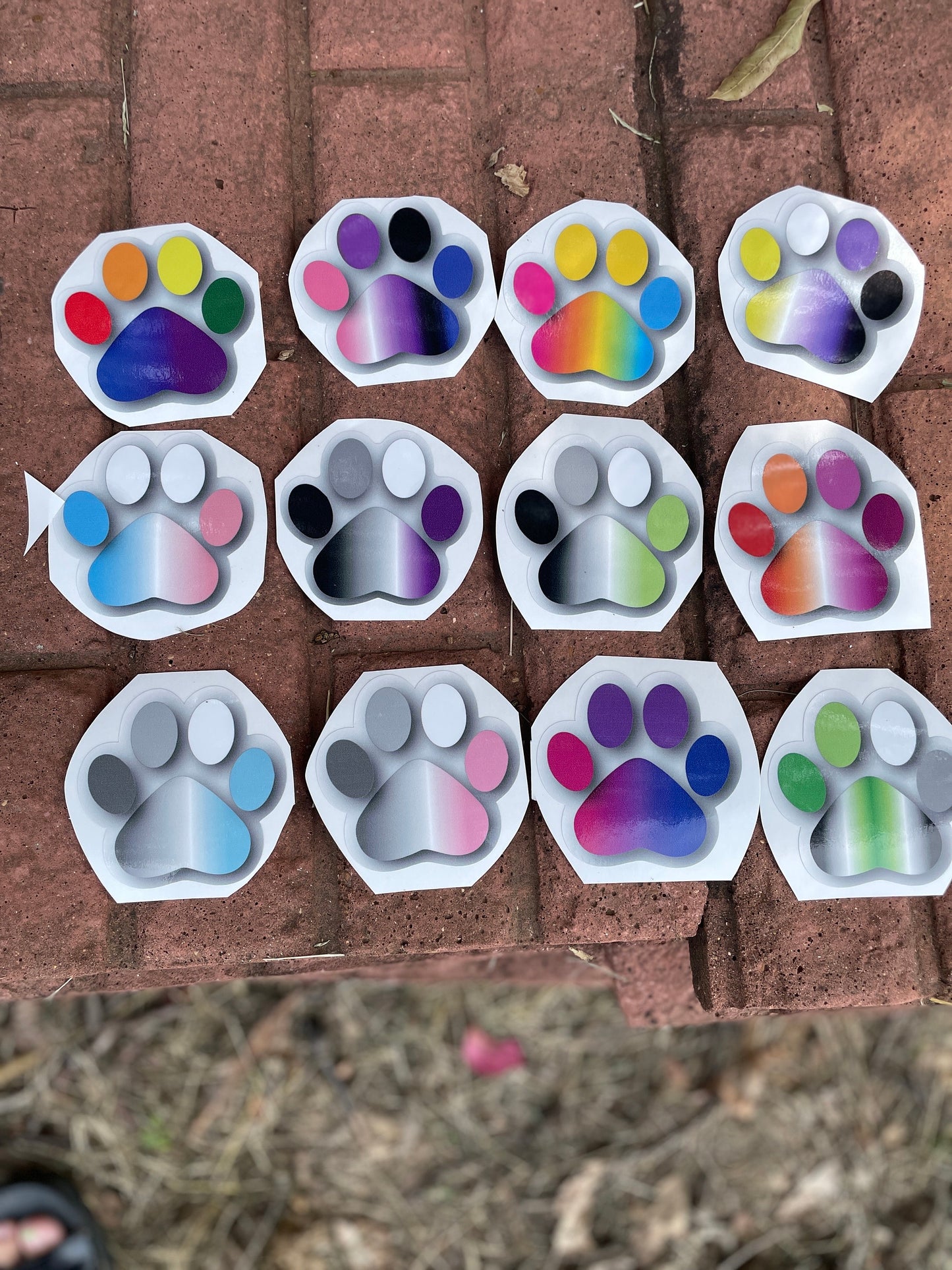 Pride Paws