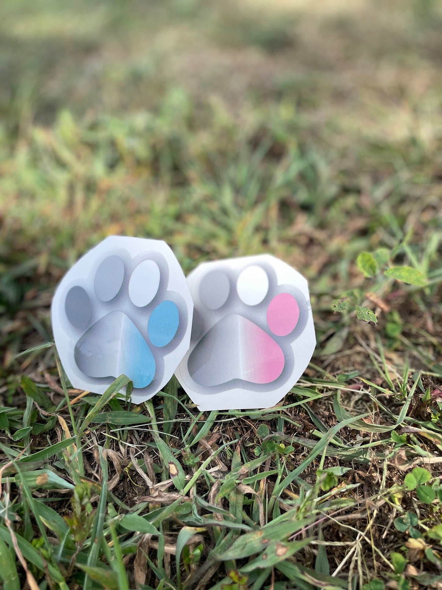 Pride Paws
