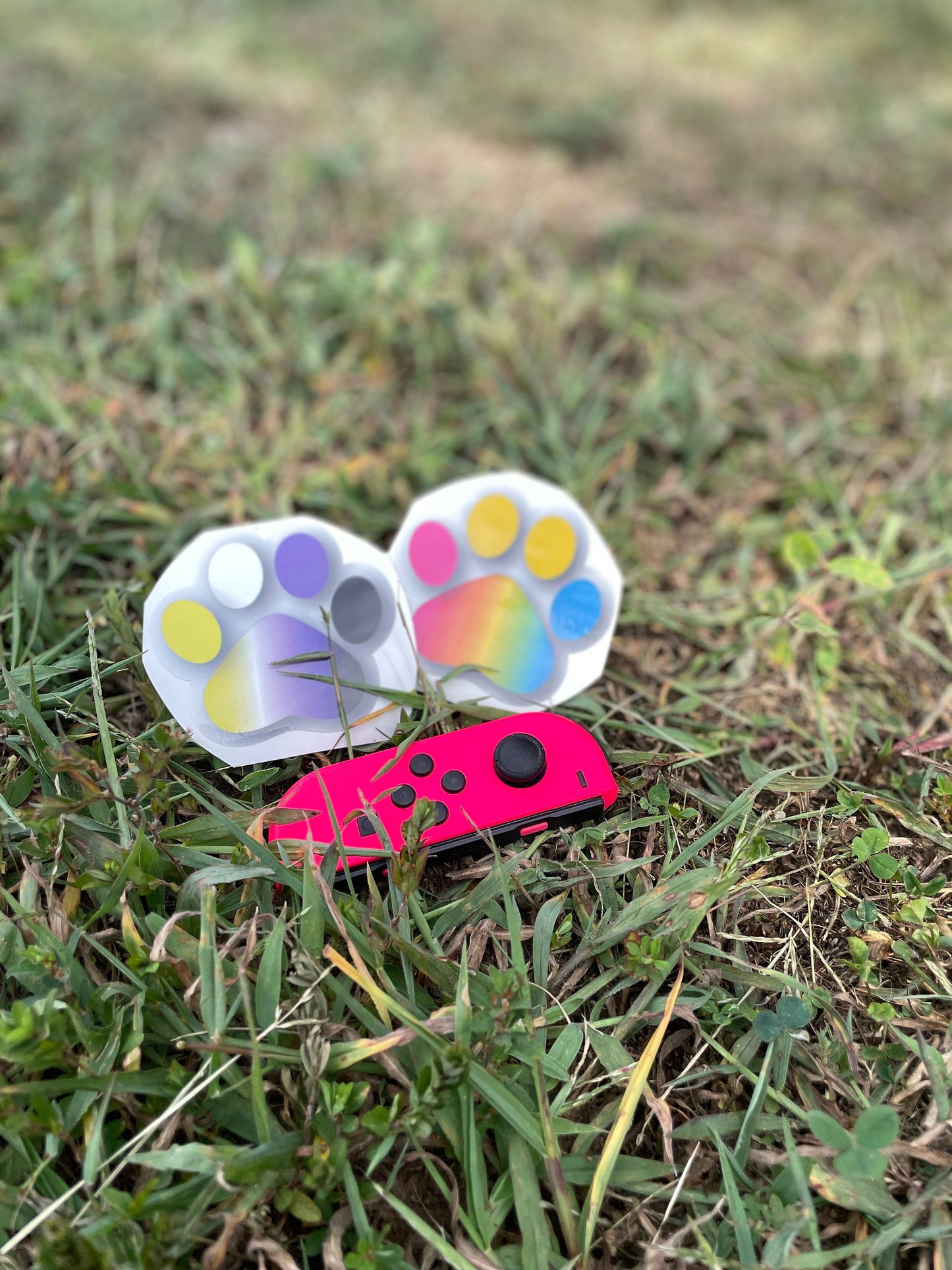Pride Paws