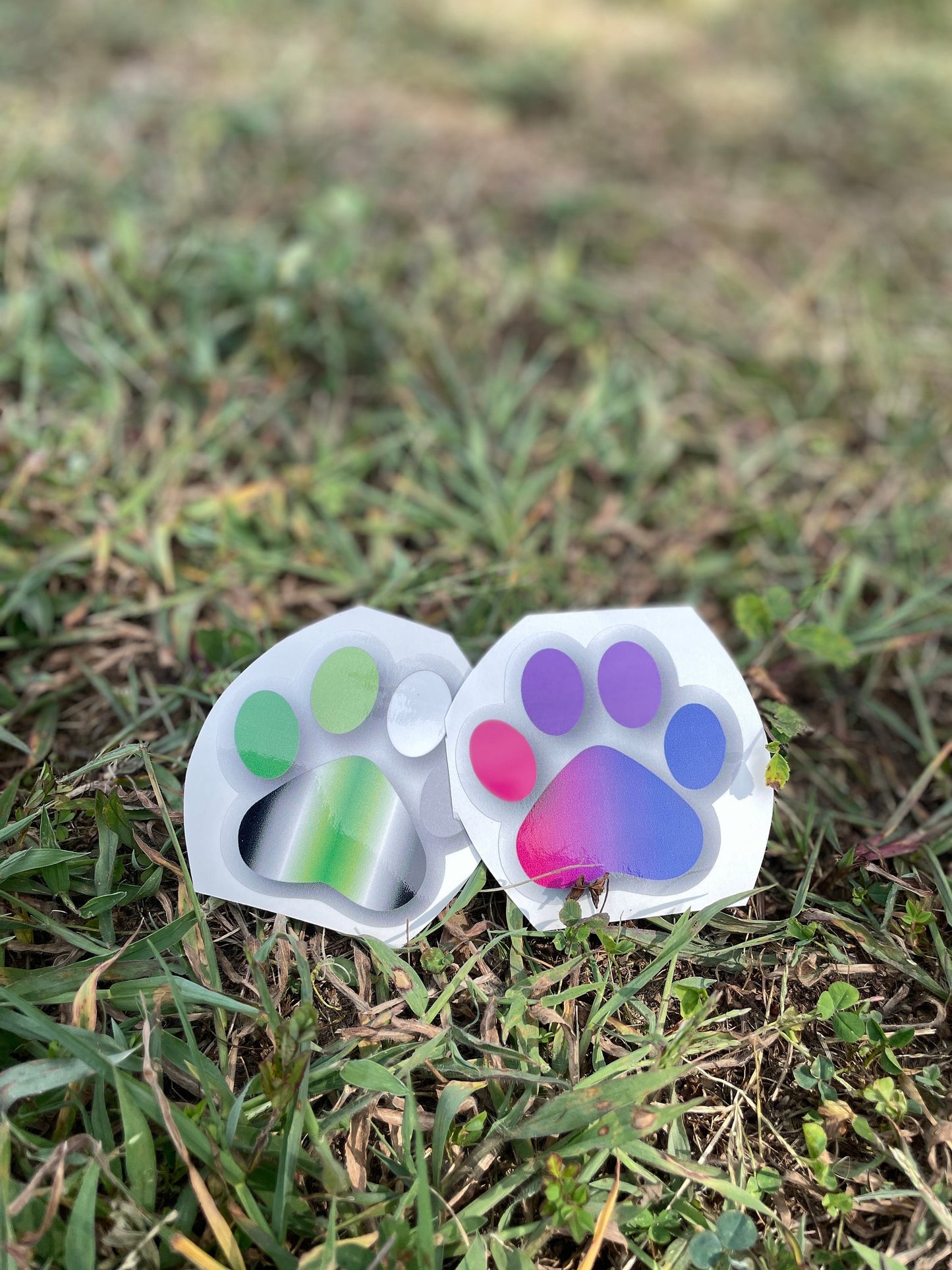 Pride Paws